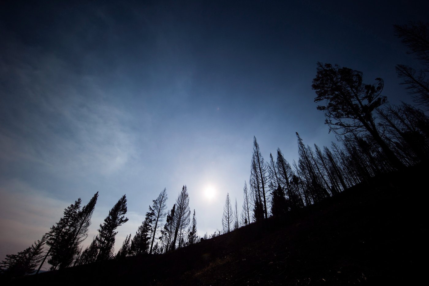 Wildfire in B.C. central Interior prompts evacuation alert | iNFOnews.ca