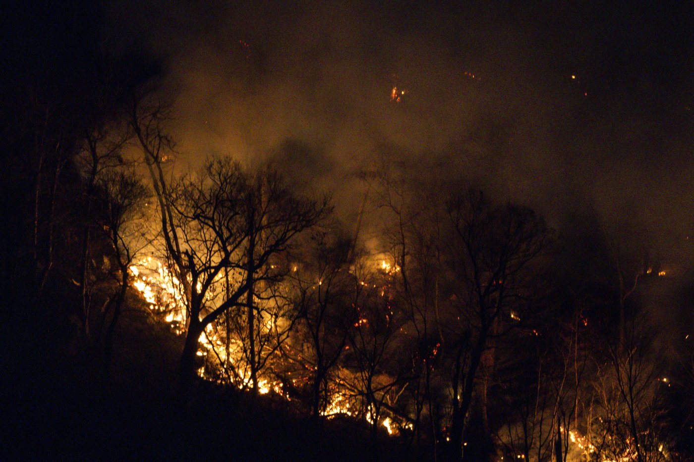 Firefighters are closer to taming the wildfire that's across the New Jersey-New York border | iNFOnews.ca