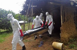 Federal government and WHO discuss Canadian Ebola-related travel restrictions | iNFOnews.ca CP30616442