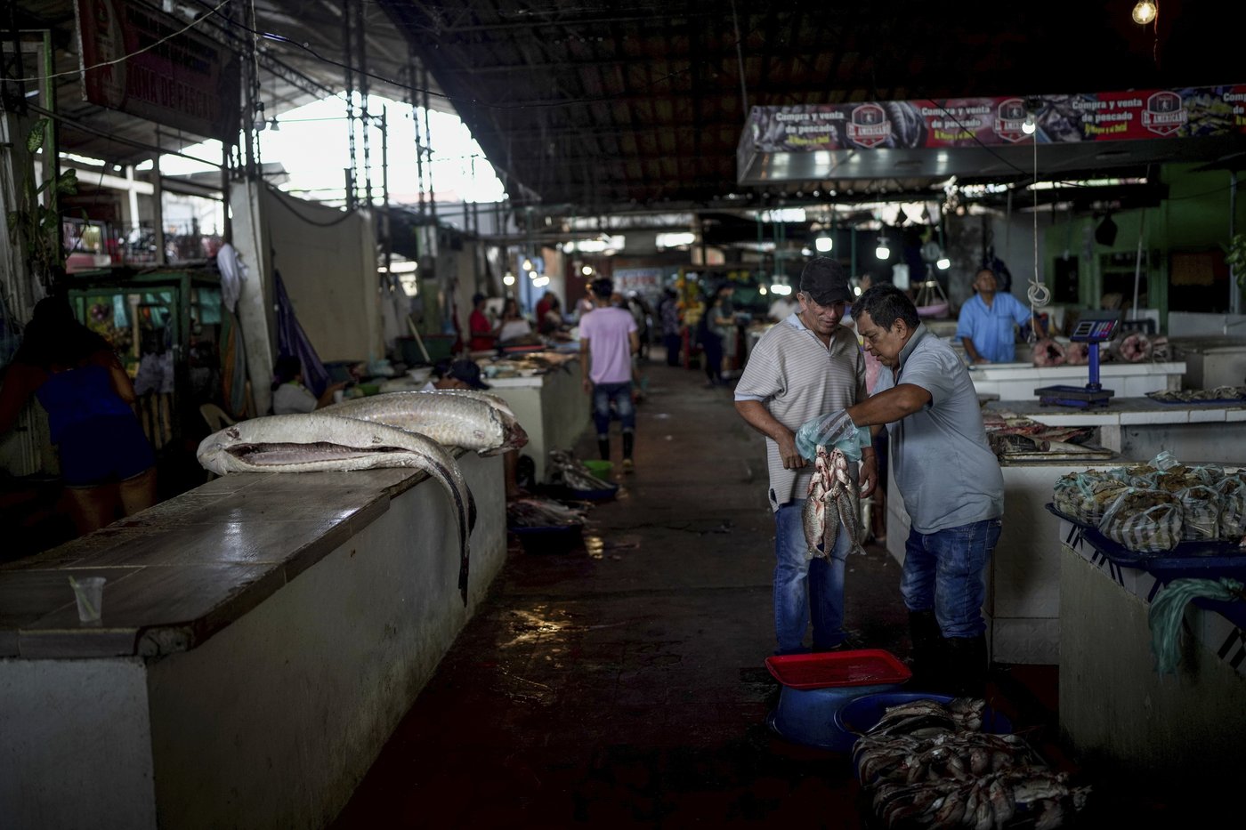 In Colombia, Amazon River's extreme drought falls hard on Indigenous communities | iNFOnews.ca