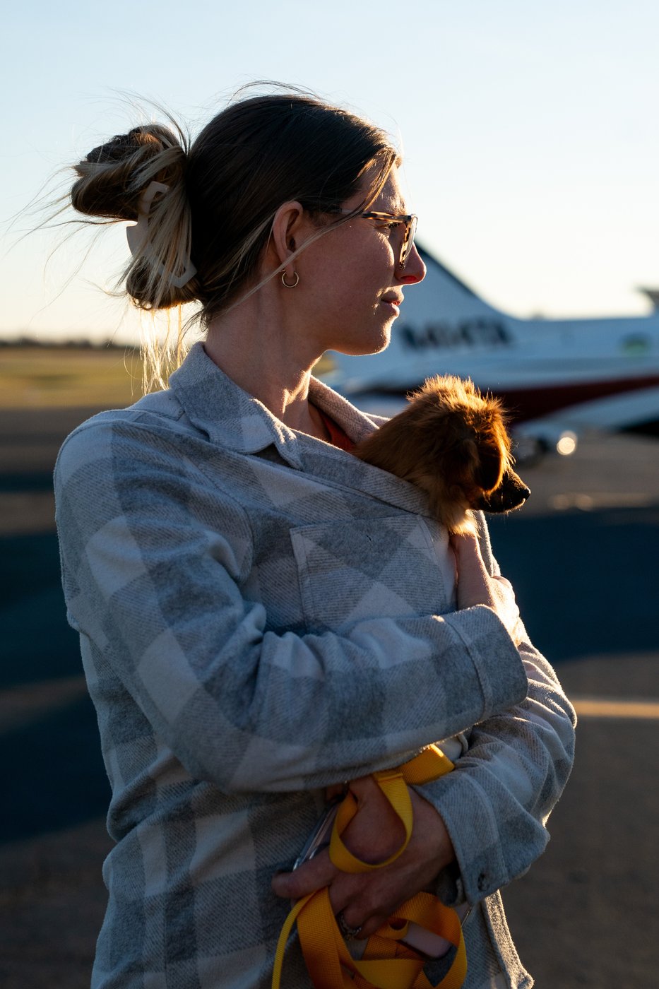 Shelter pets rescued by the revitalized Seuk’s Army in photos | iNFOnews.ca