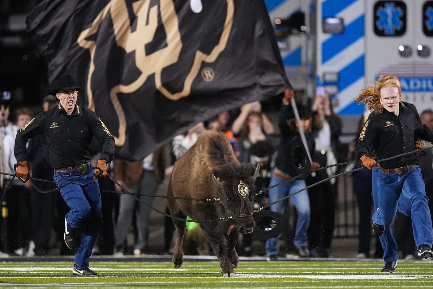 Colorado's live mascot Ralphie VII earns nickname 'Brandy' after classic rock hit by Looking Glass | iNFOnews.ca