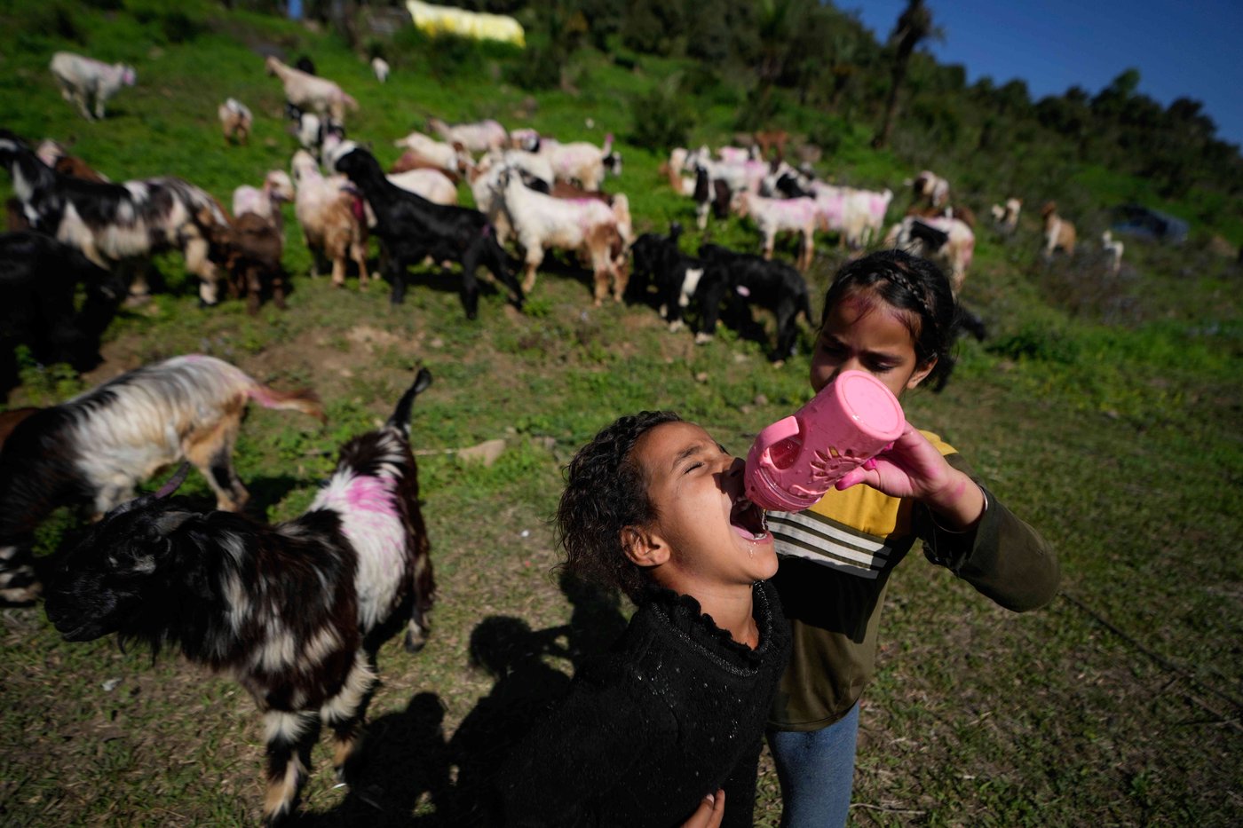 The top photos of the week by AP photojournalists | iNFOnews.ca
