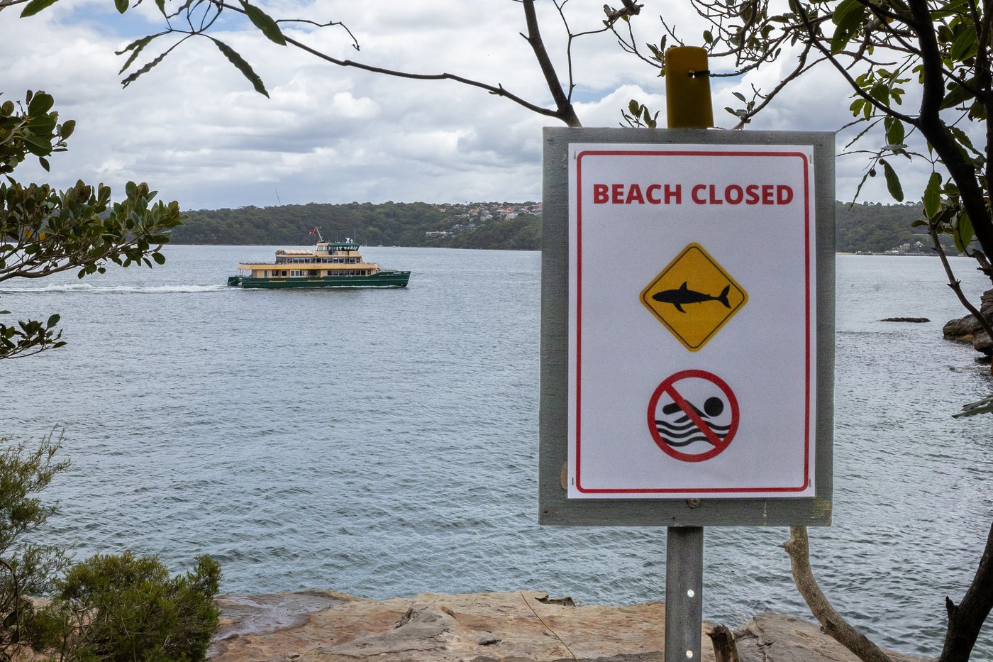 Man and boy critical after 3 shark attacks off Sydney in just over 24 hours | iNFOnews.ca Man and boy critical after 3 shark attacks off Sydney in just over 24 hours | iNFOnews.ca