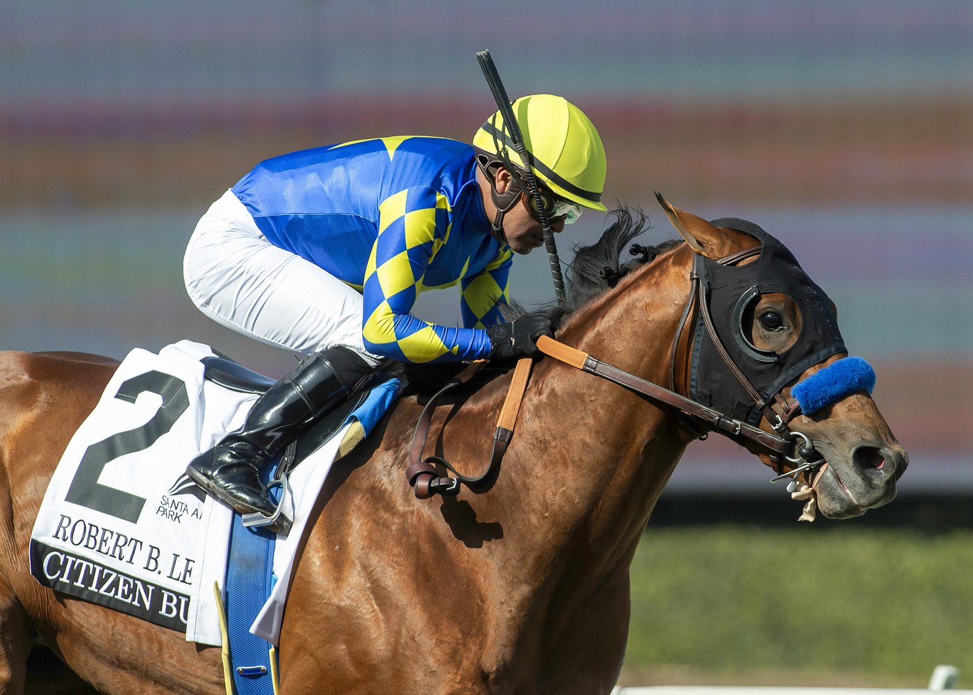 Citizen Bull wins Robert Lewis Stakes, giving trainer Bob Baffert 1-2-3 finish at Santa Anita | iNFOnews.ca Citizen Bull wins Robert Lewis Stakes, giving trainer Bob Baffert 1-2-3 finish at Santa Anita | iNFOnews.ca