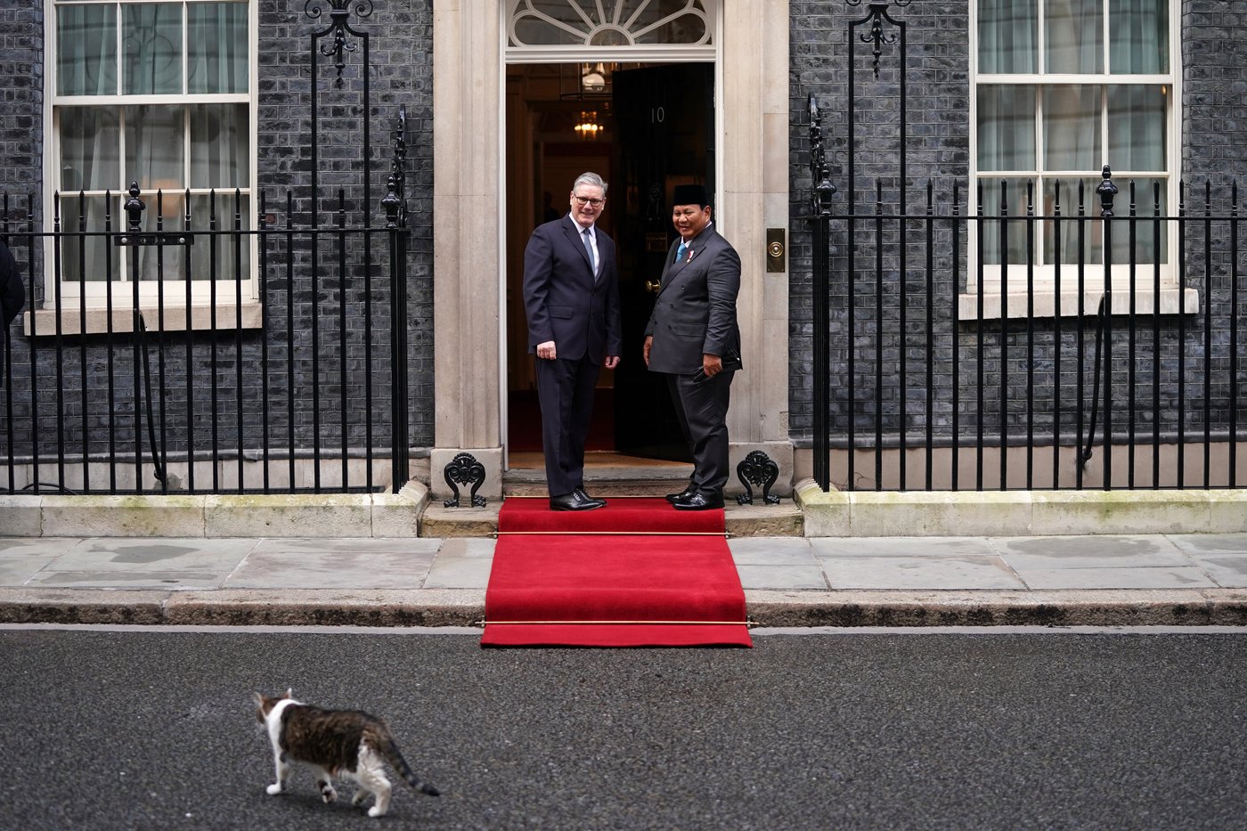 Larry the cat, Britain's Chief Mouser at 10 Downing Street for 15 years, in photos | iNFOnews.ca