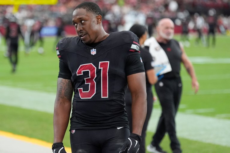 Cardinals' Demercado becomes 2nd player in as many weeks to lose ball at goal line for touchback | iNFOnews.ca