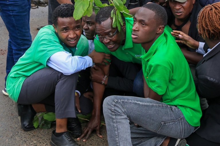 Kenya's former chief justice David Maraga arrested during park construction protest | iNFOnews.ca
