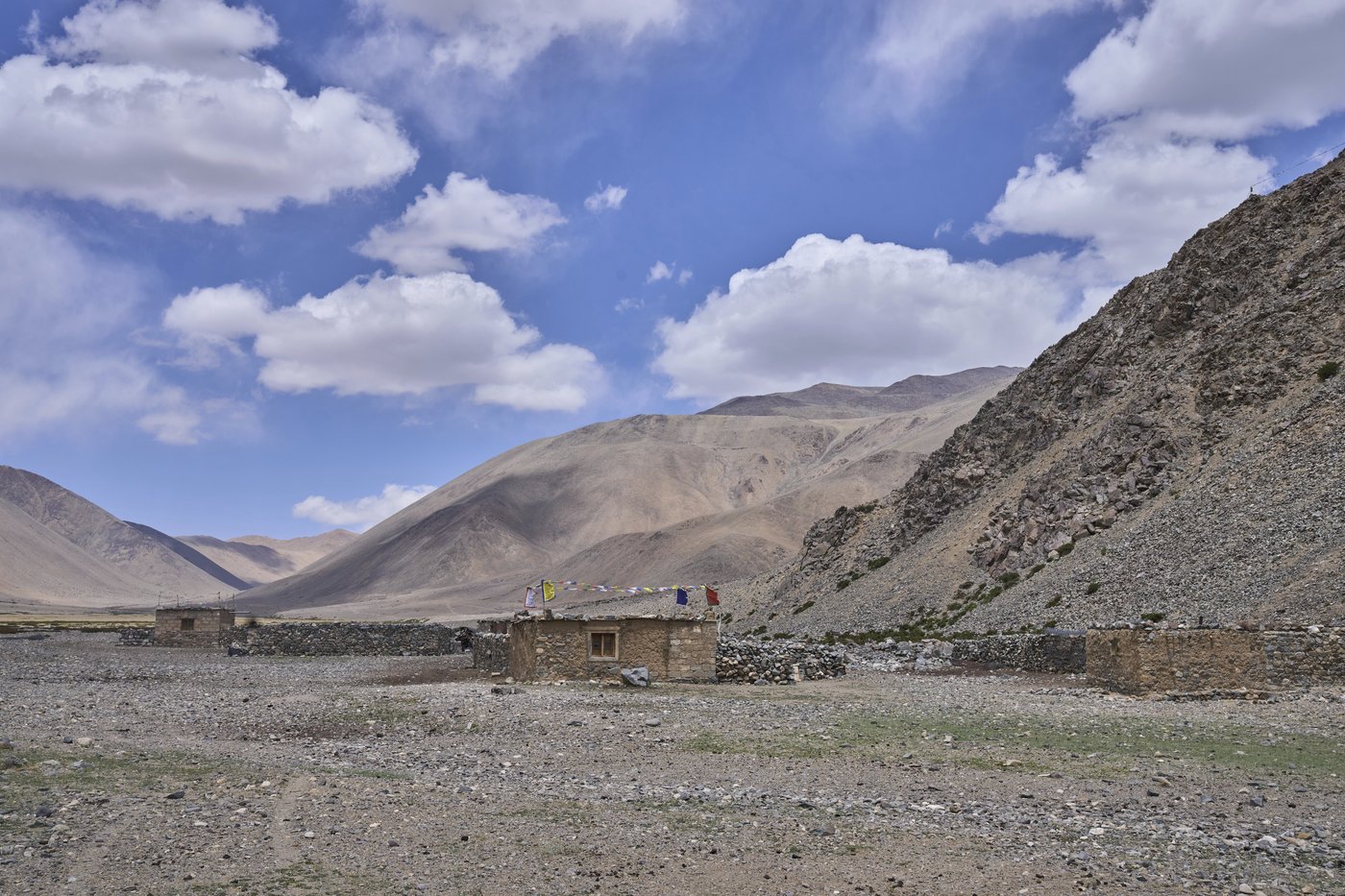 High in India’s Himalayan mountains, yak herders struggle to survive a warming world | iNFOnews.ca