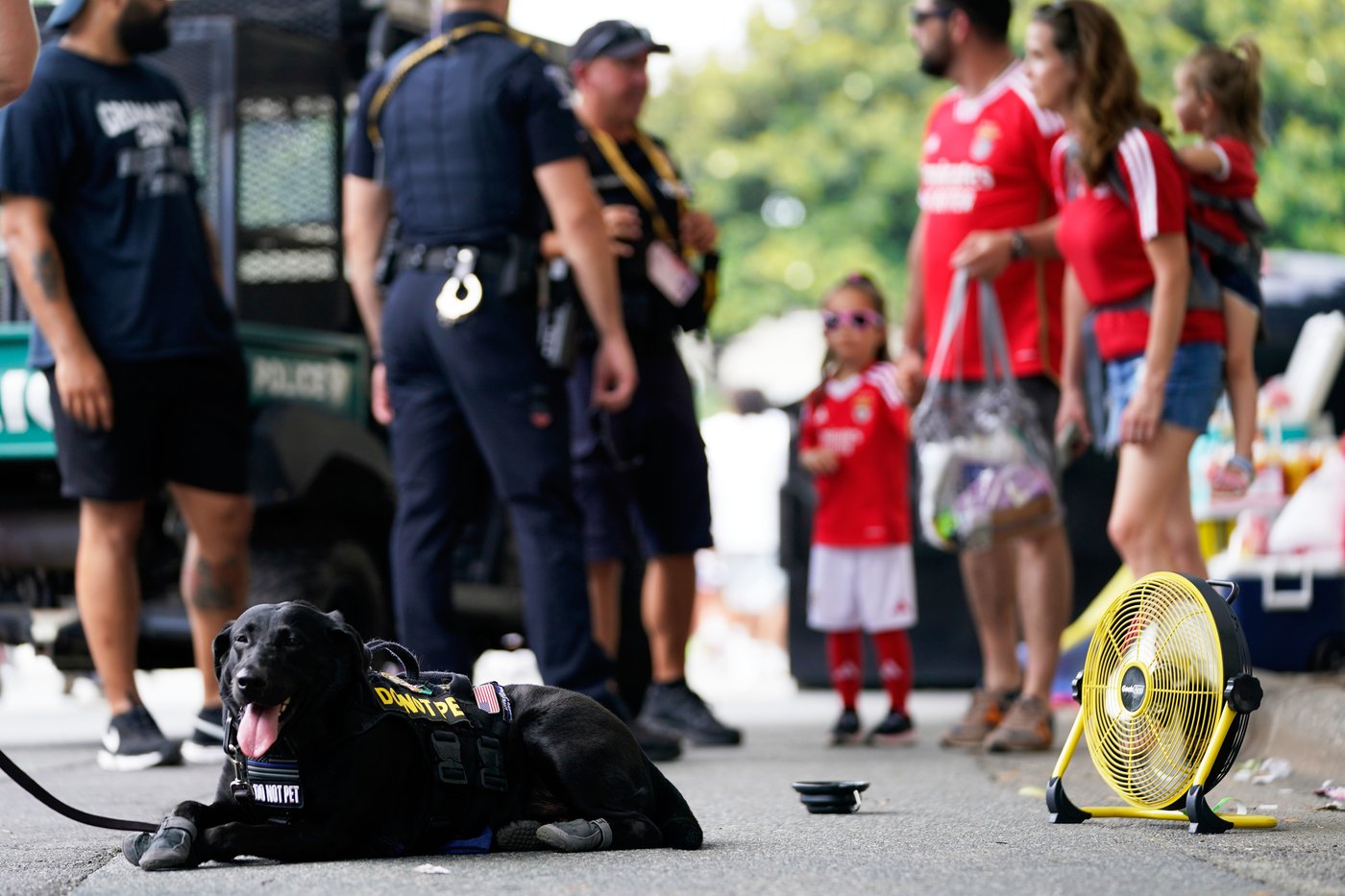 Some sniffer dogs at the Club World Cup outfitted with booties to protect their paws from the heat | iNFOnews.ca Some sniffer dogs at the Club World Cup outfitted with booties to protect their paws from the heat | iNFOnews.ca