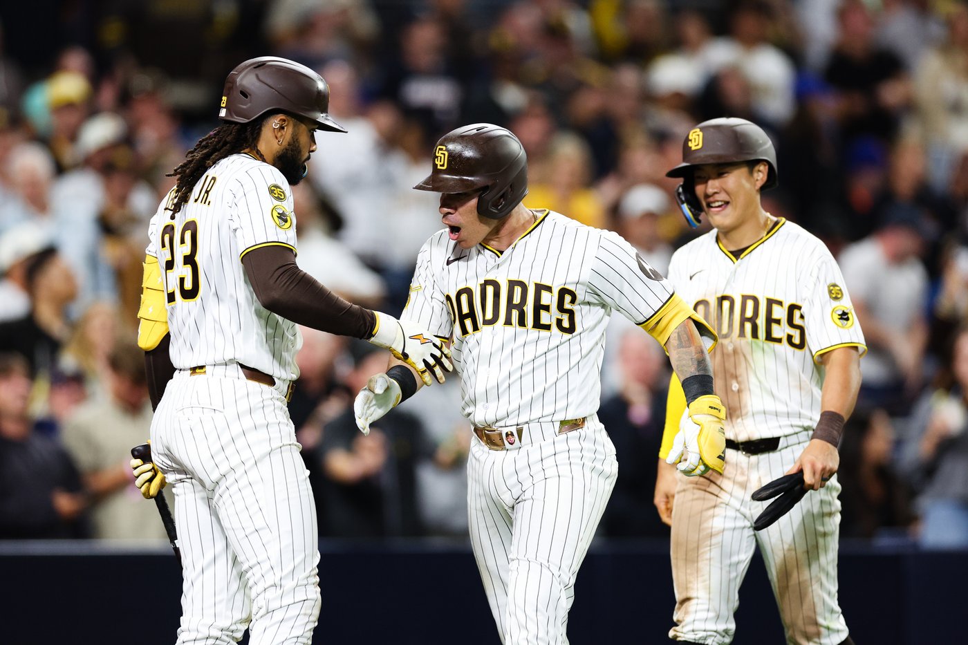 Freddy Fermin's first homer of season helps Padres halt 6-game slide with 3-2 win over Mets | iNFOnews.ca