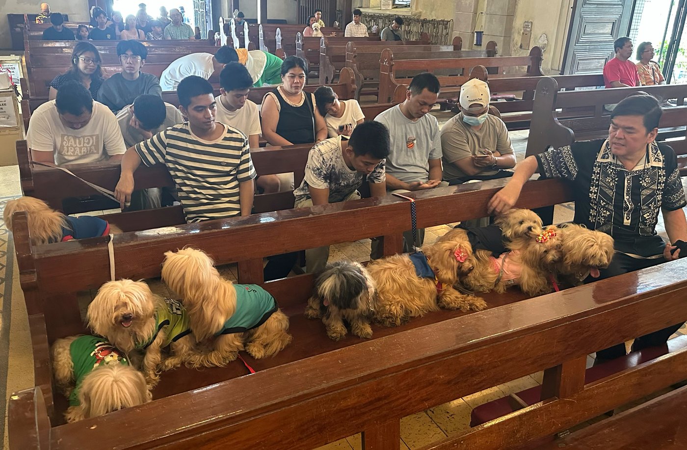 Wagging tails fill a Philippine church where priests bless pets for St. Francis feast | iNFOnews.ca Wagging tails fill a Philippine church where priests bless pets for St. Francis feast | iNFOnews.ca