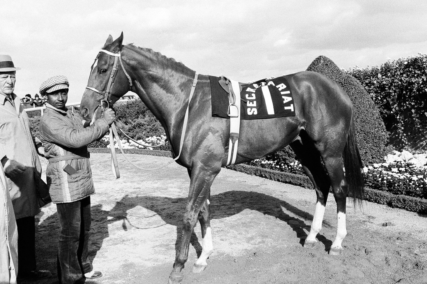 Final stretch: NYC’s last horse track, Aqueduct, ending live races | iNFOnews.ca