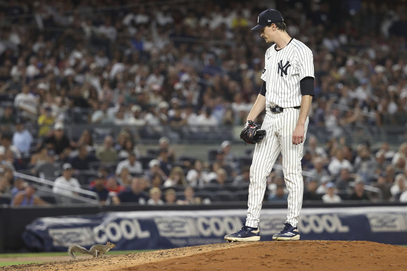 Squirrel runs onto Yankee Stadium field during 4th inning of Red Sox-Yankees game | iNFOnews.ca