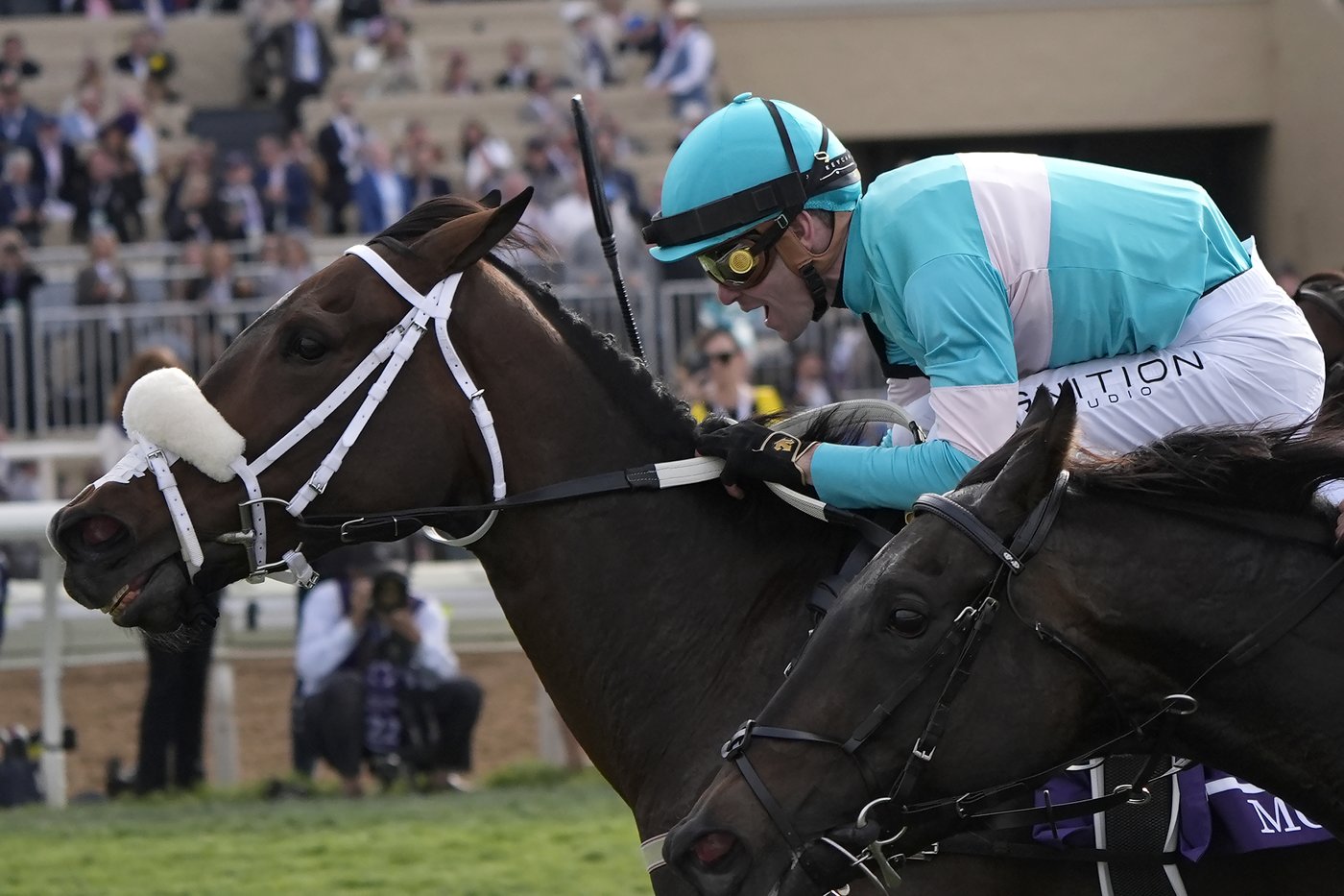 Sierra Leone wins $7 million Breeders' Cup Classic after suffering close loss in Kentucky Derby | iNFOnews.ca Sierra Leone wins $7 million Breeders' Cup Classic after suffering close loss in Kentucky Derby | iNFOnews.ca