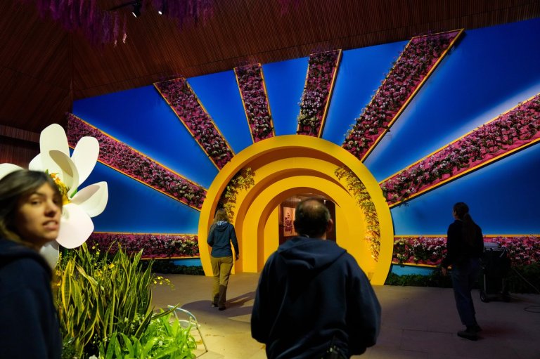 Photos of Chicago’s retro '70s themed orchids show | iNFOnews.ca