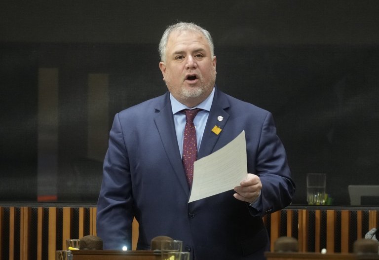 Johns says McPherson can bring NDP back to official party status | iNFOnews.ca