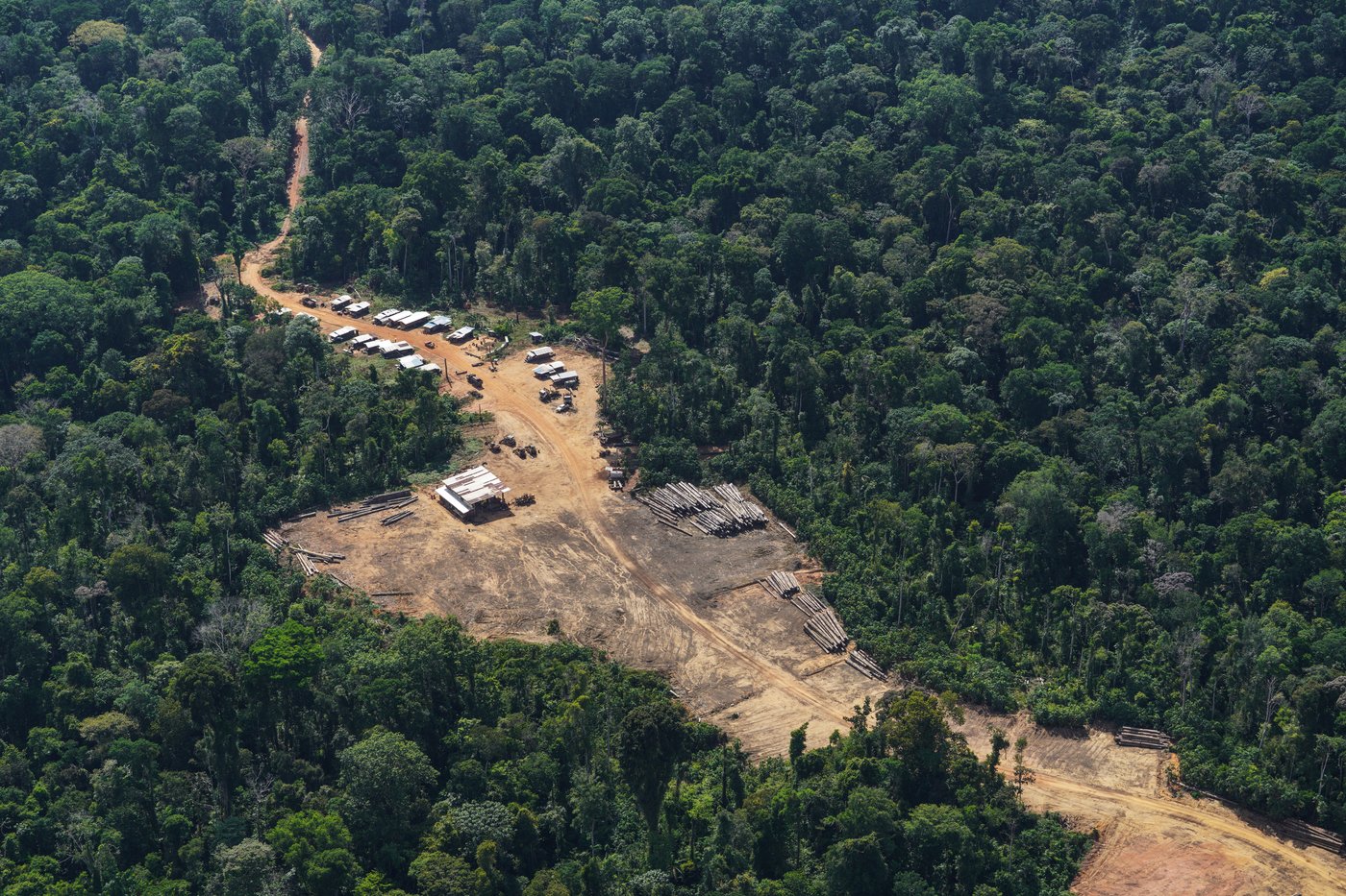 Suriname’s Saamaka tribe turns to mapping and documenting in effort to protect the Amazon rainforest | iNFOnews.ca Suriname’s Saamaka tribe turns to mapping and documenting in effort to protect the Amazon rainforest | iNFOnews.ca