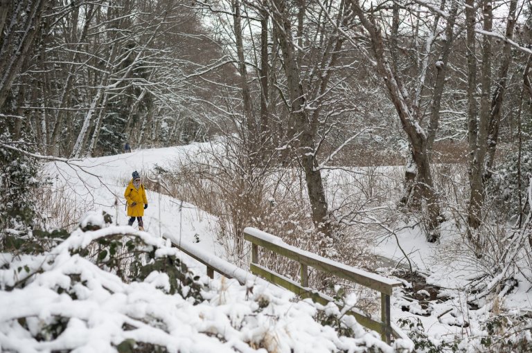 Frontal system brings heavy snow, strong winds and record warmth to areas of B.C. | iNFOnews.ca