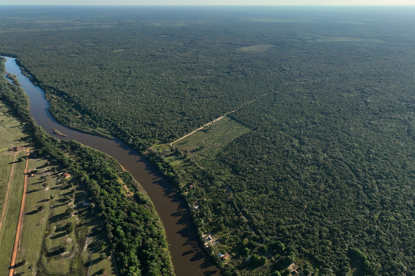 A conflict over cattle in Brazil's Amazon highlights tensions for Indigenous peoples | iNFOnews.ca A conflict over cattle in Brazil's Amazon highlights tensions for Indigenous peoples | iNFOnews.ca