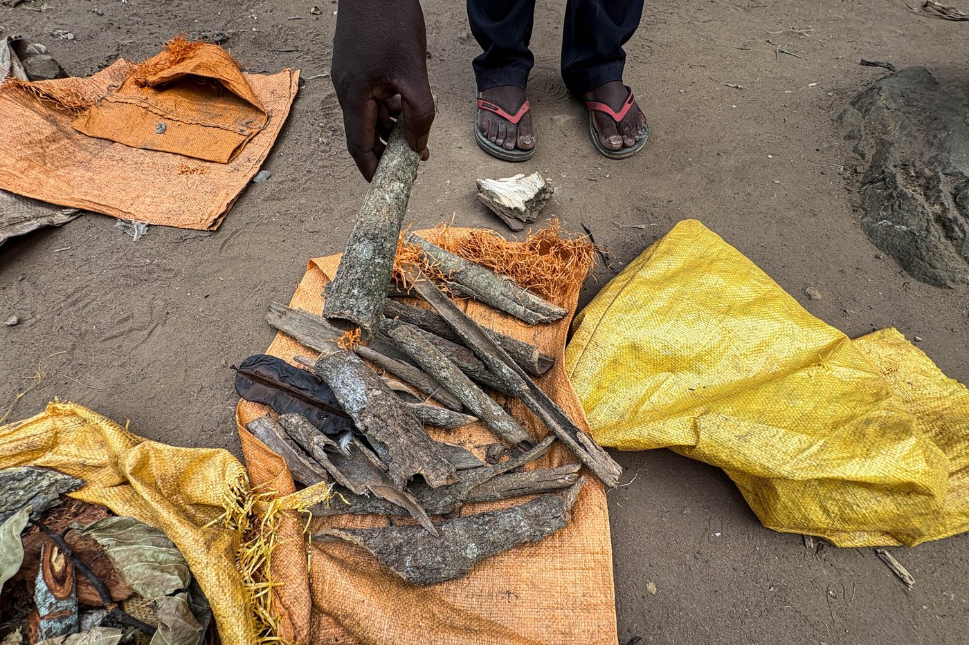 Africa's Ebola outbreaks complicated by victims who prefer traditional healers over hospitals | iNFOnews.ca