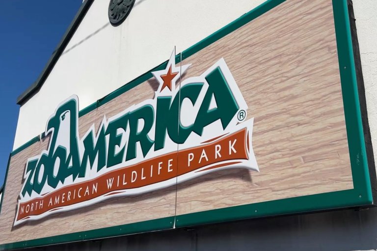 Parents charged after toddler slips into wolf area and gets hurt at Hersheypark zoo | iNFOnews.ca