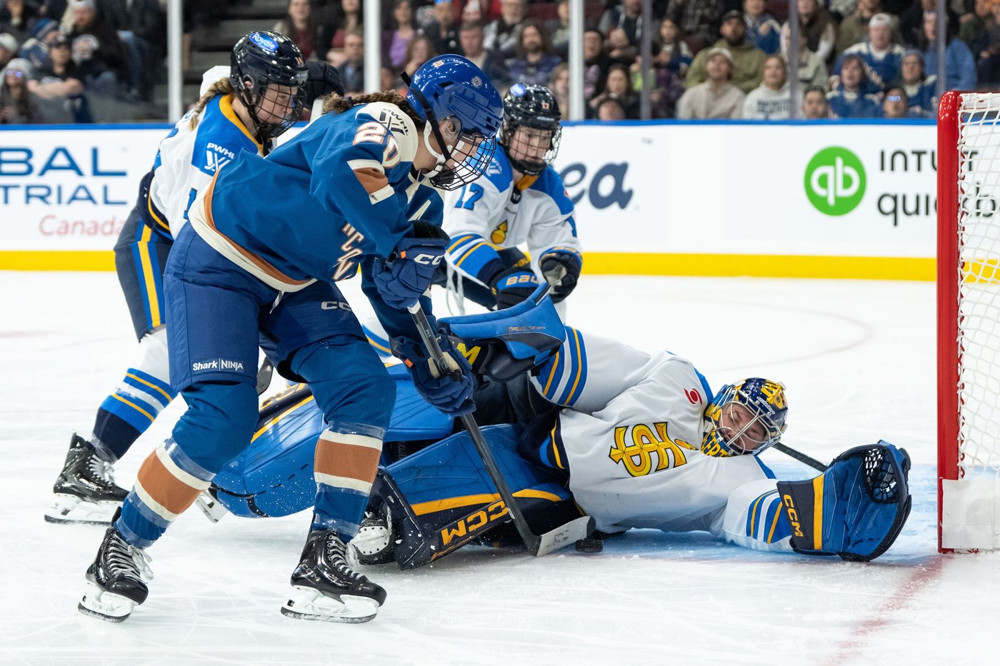 Toronto Sceptres gaining confidence from back-to-back West Coast wins | iNFOnews.ca Toronto Sceptres gaining confidence from back-to-back West Coast wins | iNFOnews.ca