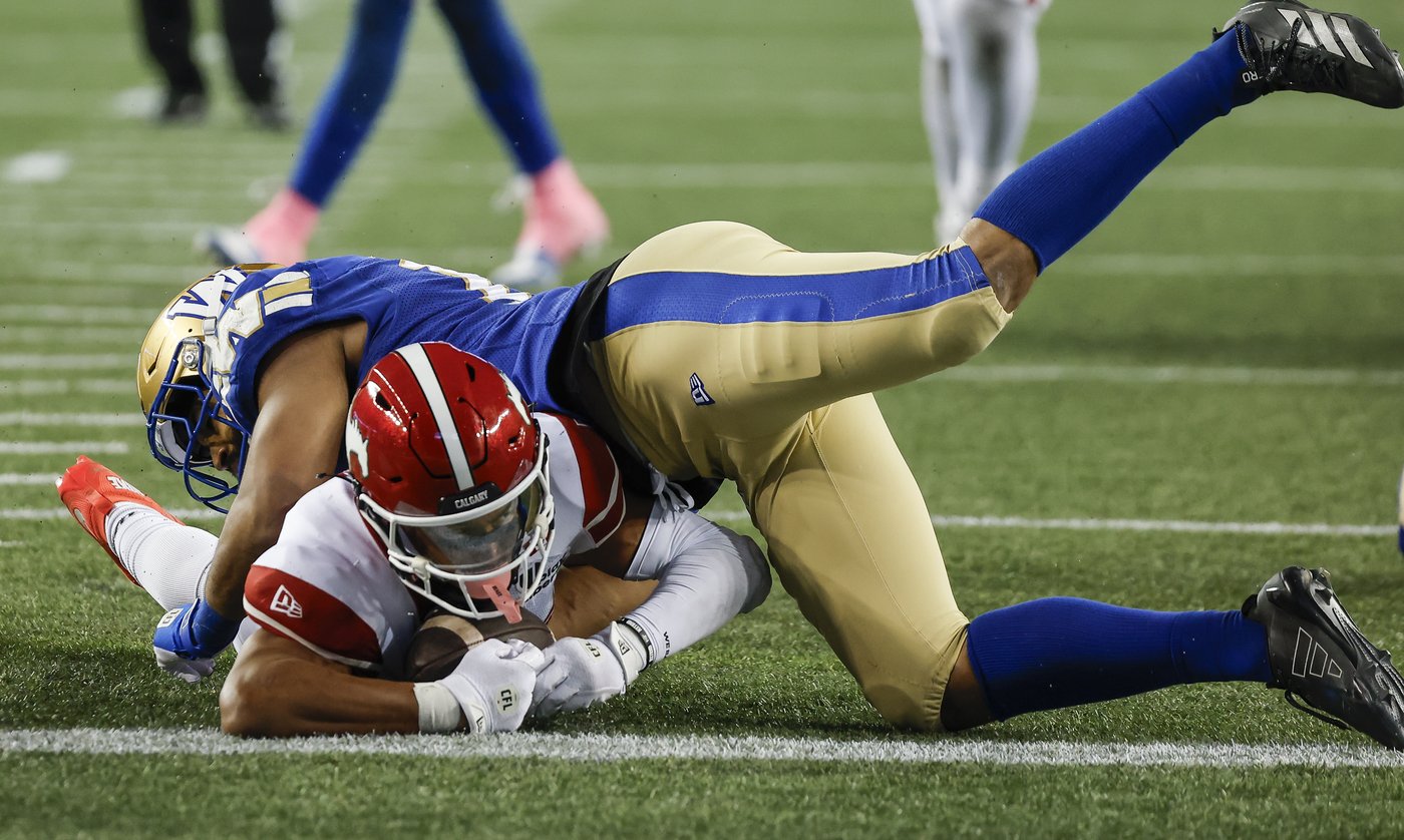 Blue Bombers help their playoff fortunes with 33-28 win over Stampeders | iNFOnews.ca