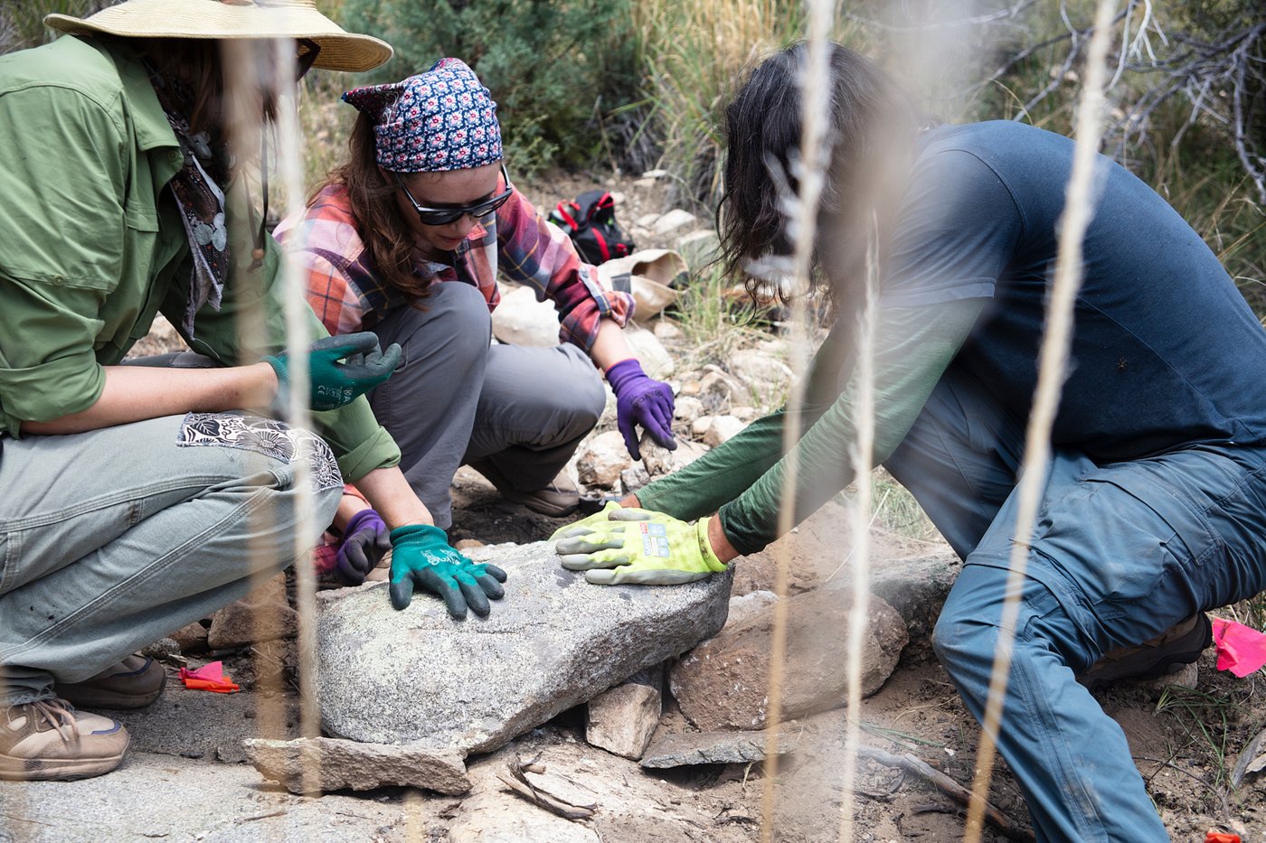 On Mount Lemmon, volunteers give unemployed rocks a new job: Erosion control | iNFOnews.ca