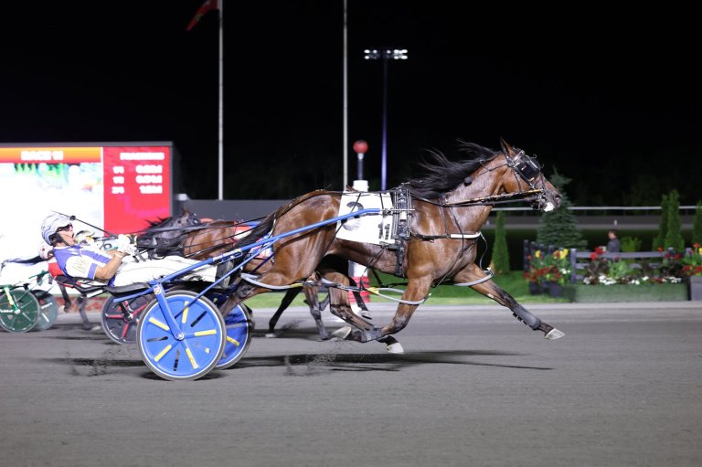 MacDonald drives Odds On Mr Mamba to win in $1-million North America Cup | iNFOnews.ca