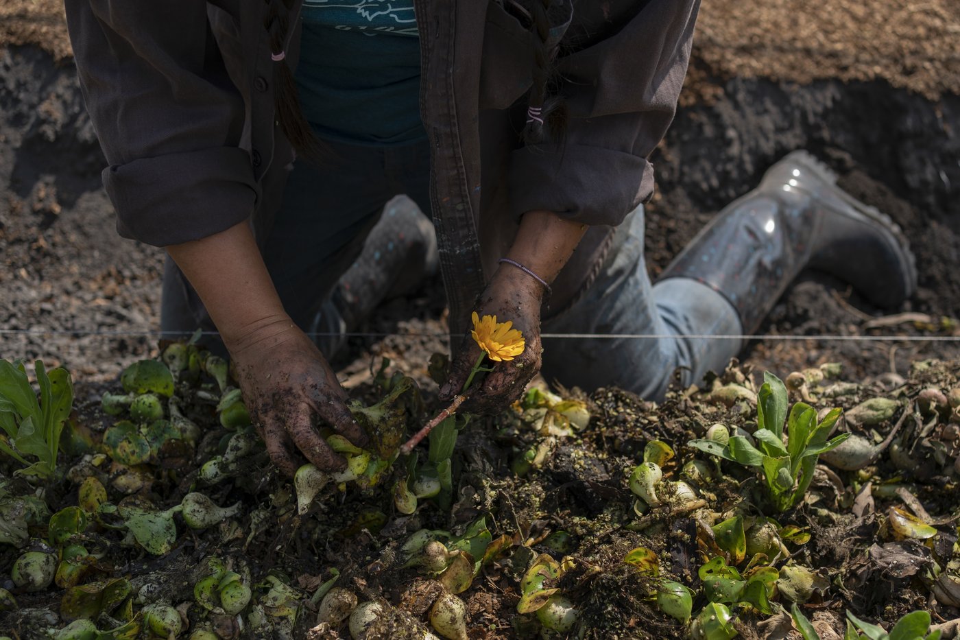 Mexico City’s floating gardens have fed people for hundreds of years. Now they’re threatened | iNFOnews.ca
