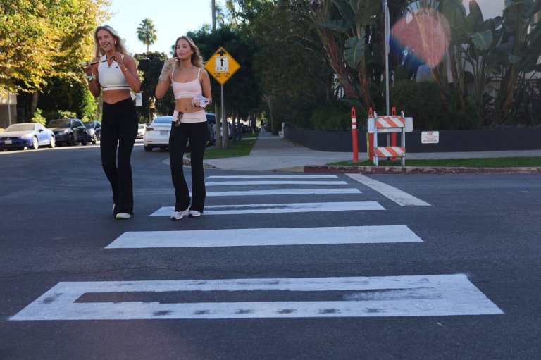 Activist arrested for vandalism after painting Los Angeles crosswalk deemed unsafe | iNFOnews.ca