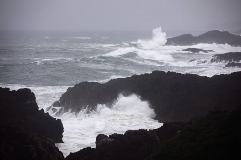 Forecast says high tides, low pressure, mean flooding likely along B.C.'s south coast | iNFOnews.ca