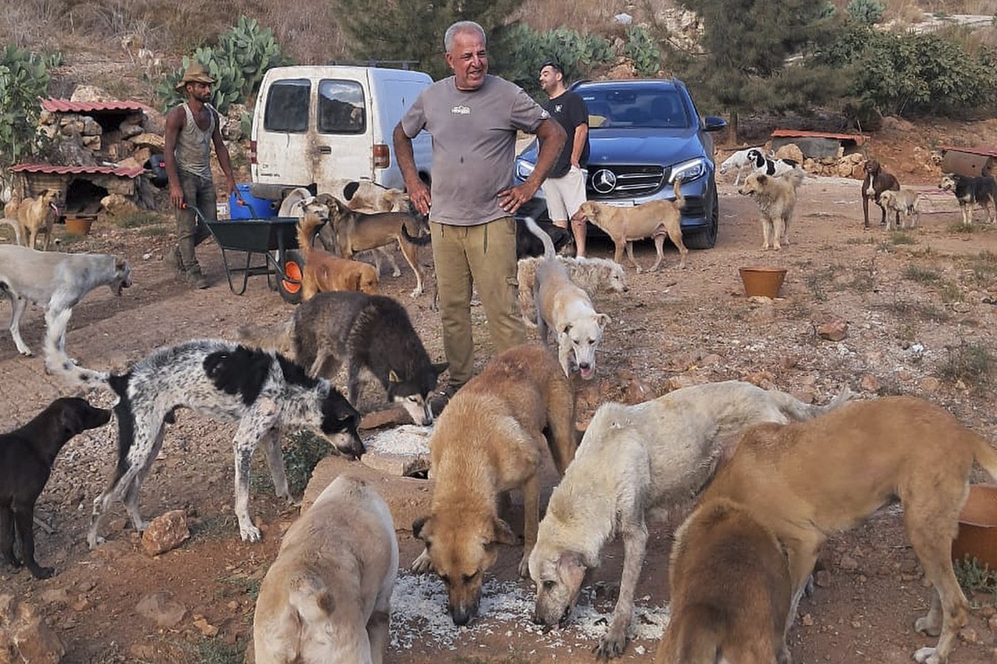 A man in South Lebanon cares for pets left behind as residents flee Israeli bombs | iNFOnews.ca