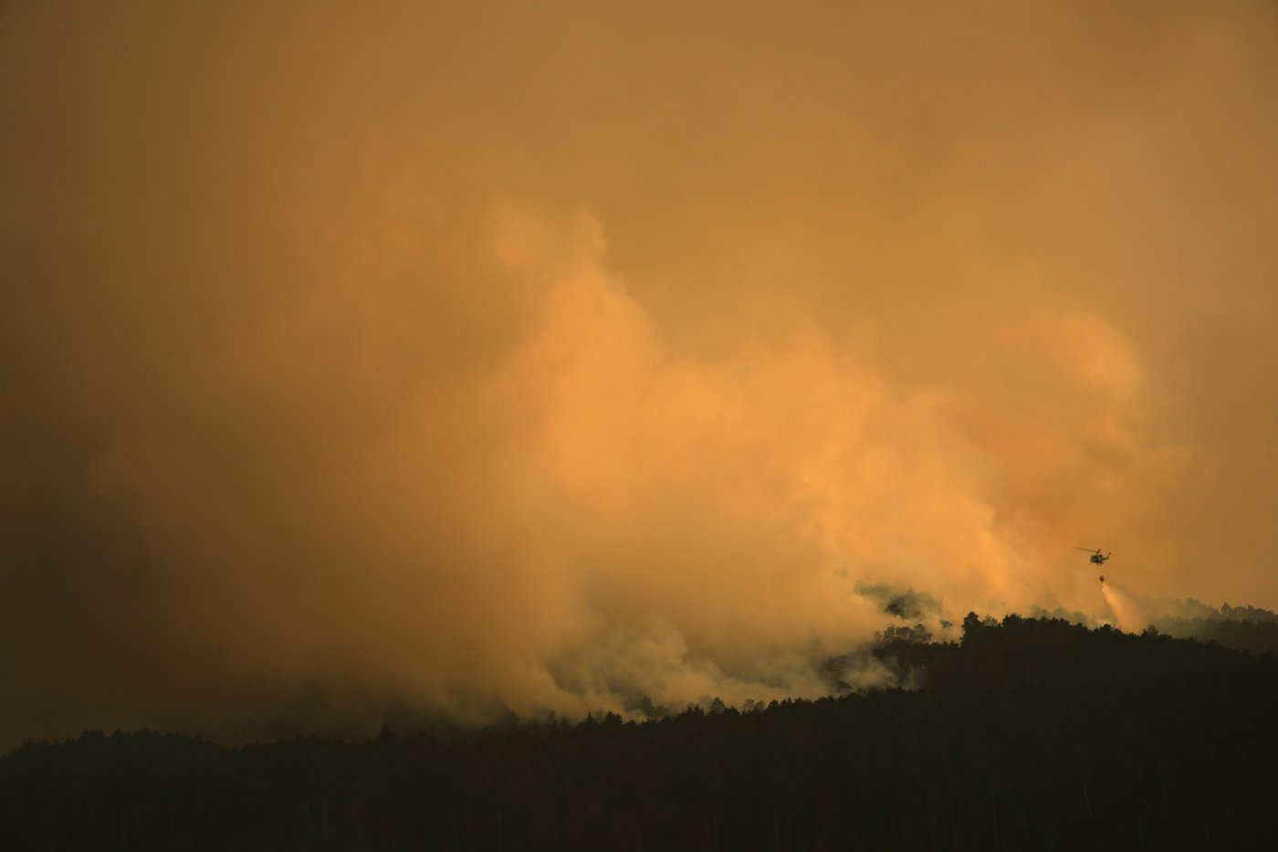 The top photos of the day by AP photojournalists | iNFOnews.ca