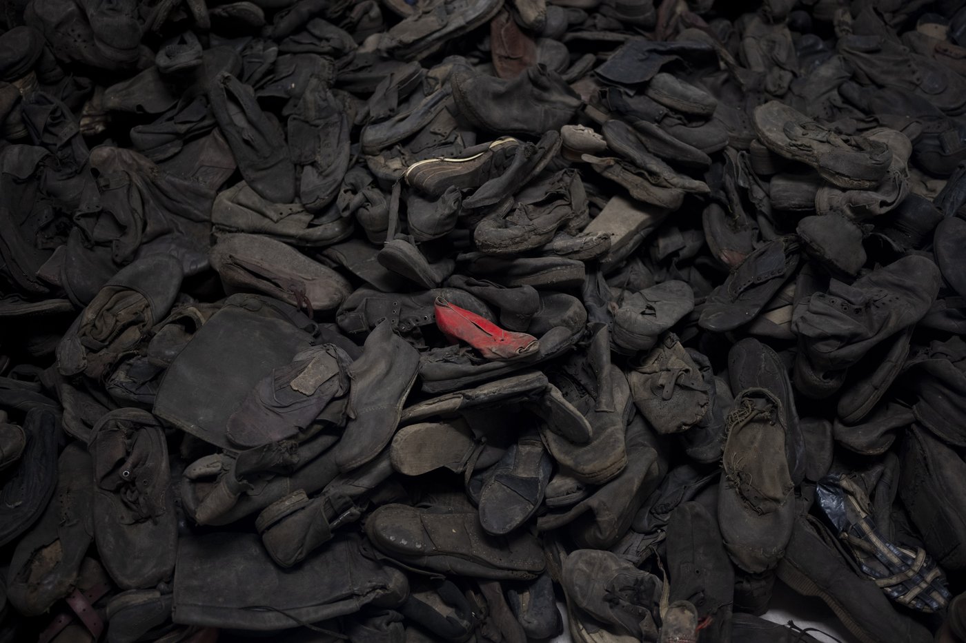PHOTO COLLECTION: Poland Auschwitz 80th Anniversary | iNFOnews.ca