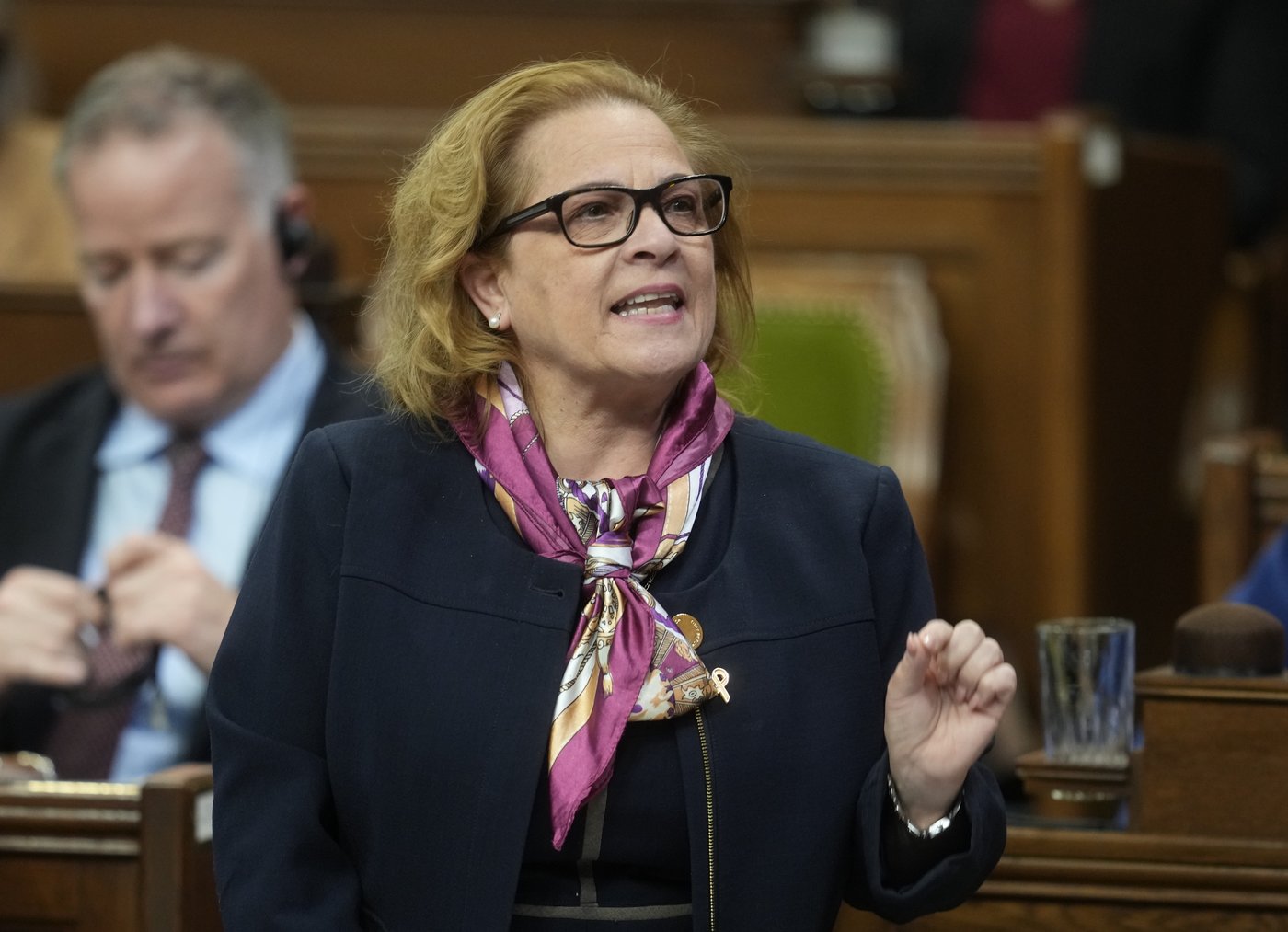 Immigration Department looking into termination of refugee sponsor policy: Diab | iNFOnews.ca Immigration Department looking into termination of refugee sponsor policy: Diab | iNFOnews.ca