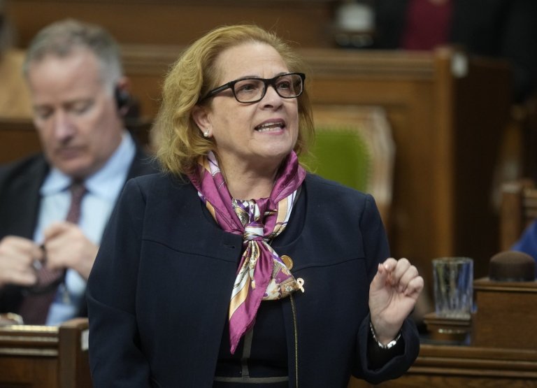 Immigration Department probing cancellation of refugee sponsor policy: Diab | iNFOnews.ca