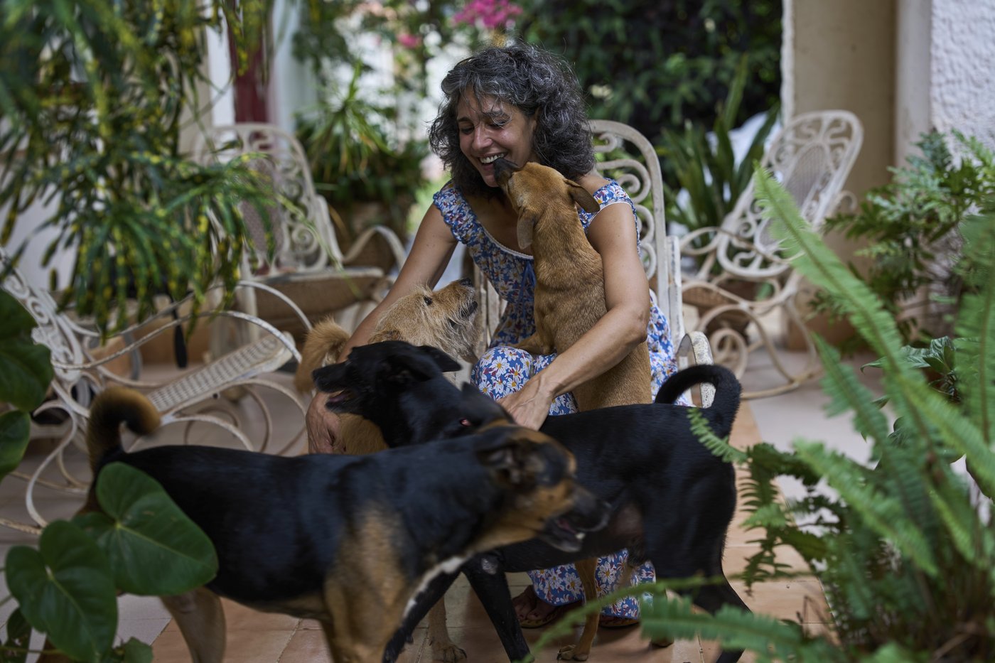 Cuban animal lovers struggle to feed stray cats and dogs as economic crisis bites | iNFOnews.ca
