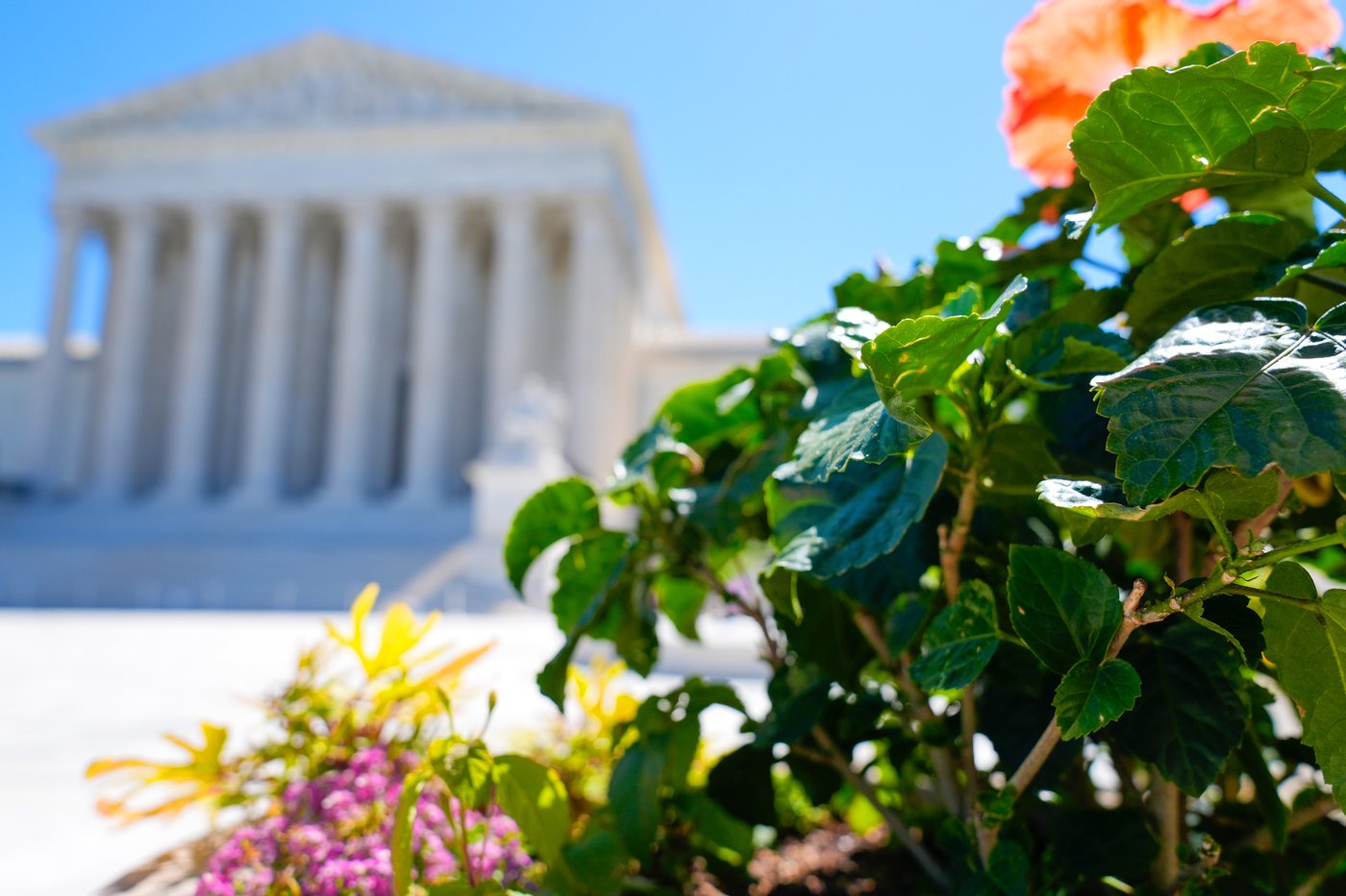 Supreme Court rules states can count late-arriving mailed ballots, rejecting Trump-led challenge | iNFOnews.ca