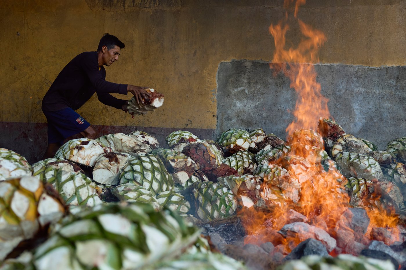 Mezcal's popularity is booming in the US. That comes with a growing environmental cost in Mexico | iNwine