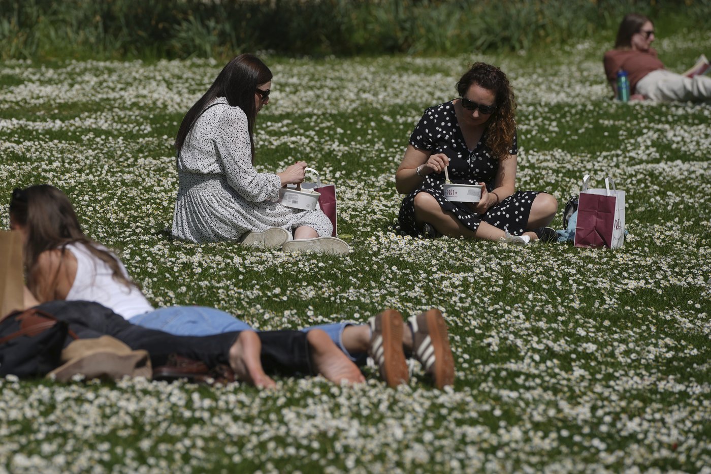PHOTO COLLECTION: Spring Weather | iNFOnews.ca