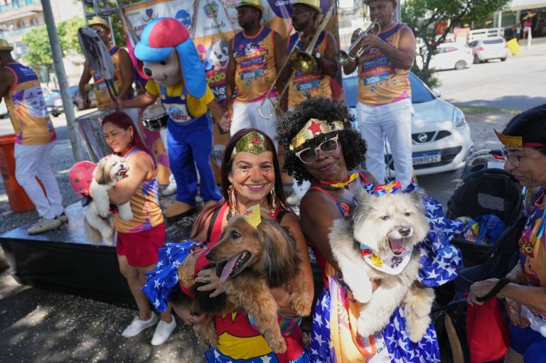 Rio Carnival street party dogs parade as humans protest against pet killers | iNFOnews.ca