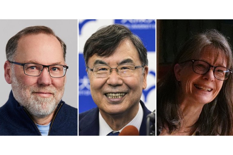 The Nobel Prize in medicine goes to 3 scientists for key immune system discoveries | iNFOnews.ca
