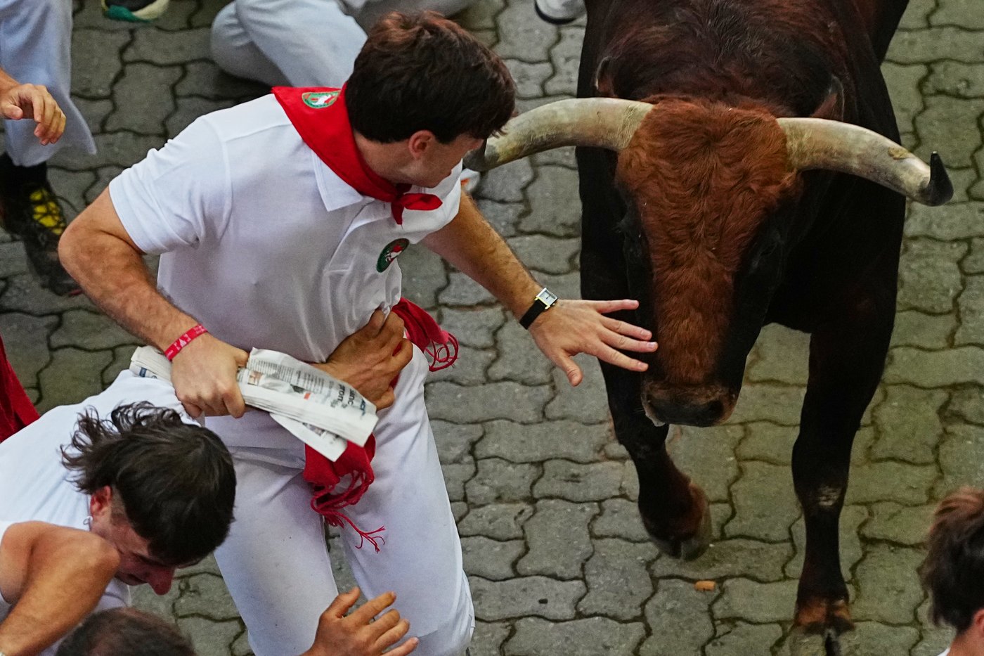 2 Spaniards gored as the San Fermin bull run festival concludes | iNFOnews.ca 2 Spaniards gored as the San Fermin bull run festival concludes | iNFOnews.ca