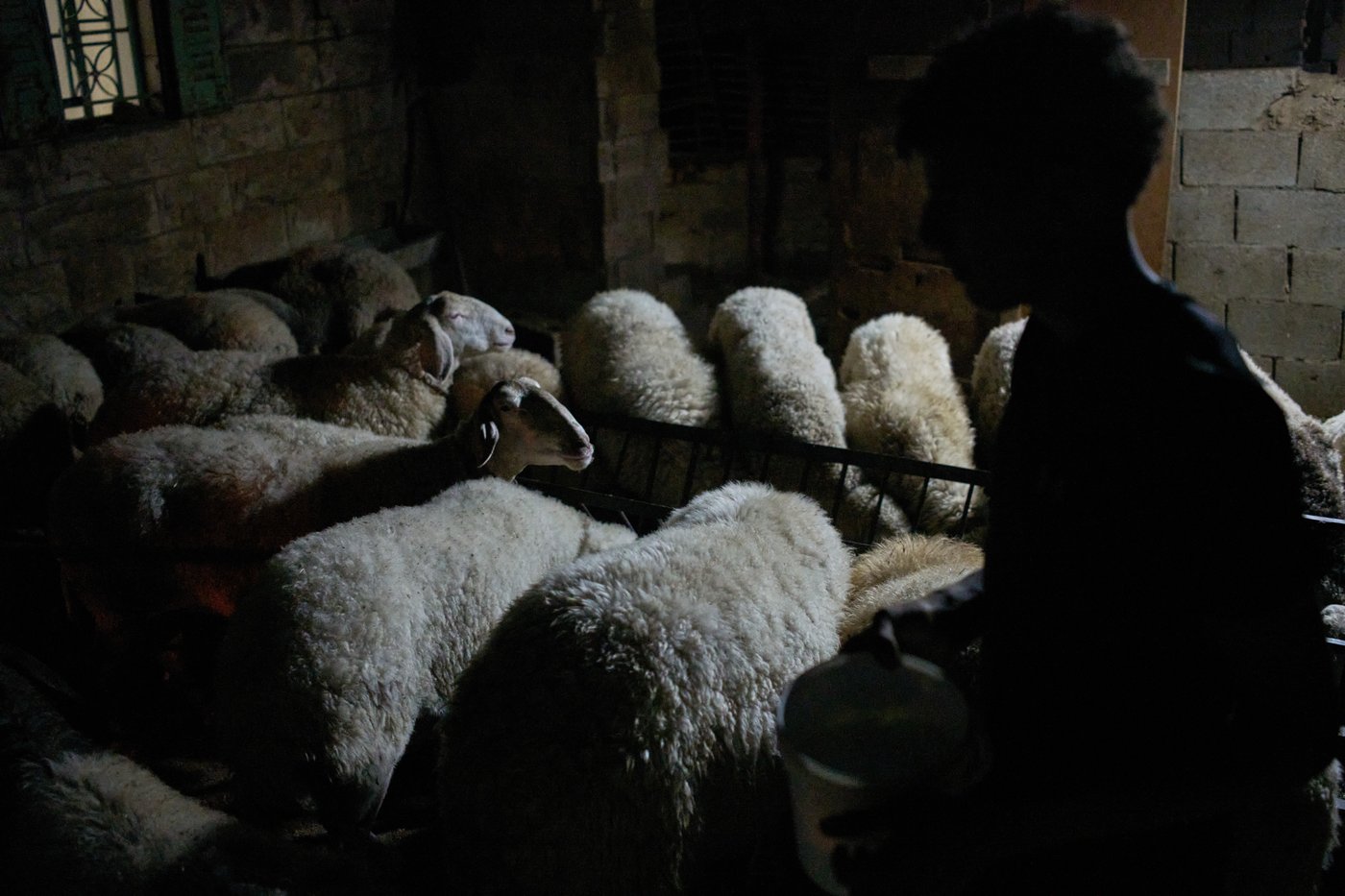 Photos show West Bank Palestinians keeping watch at night as settler violence grows | iNFOnews.ca