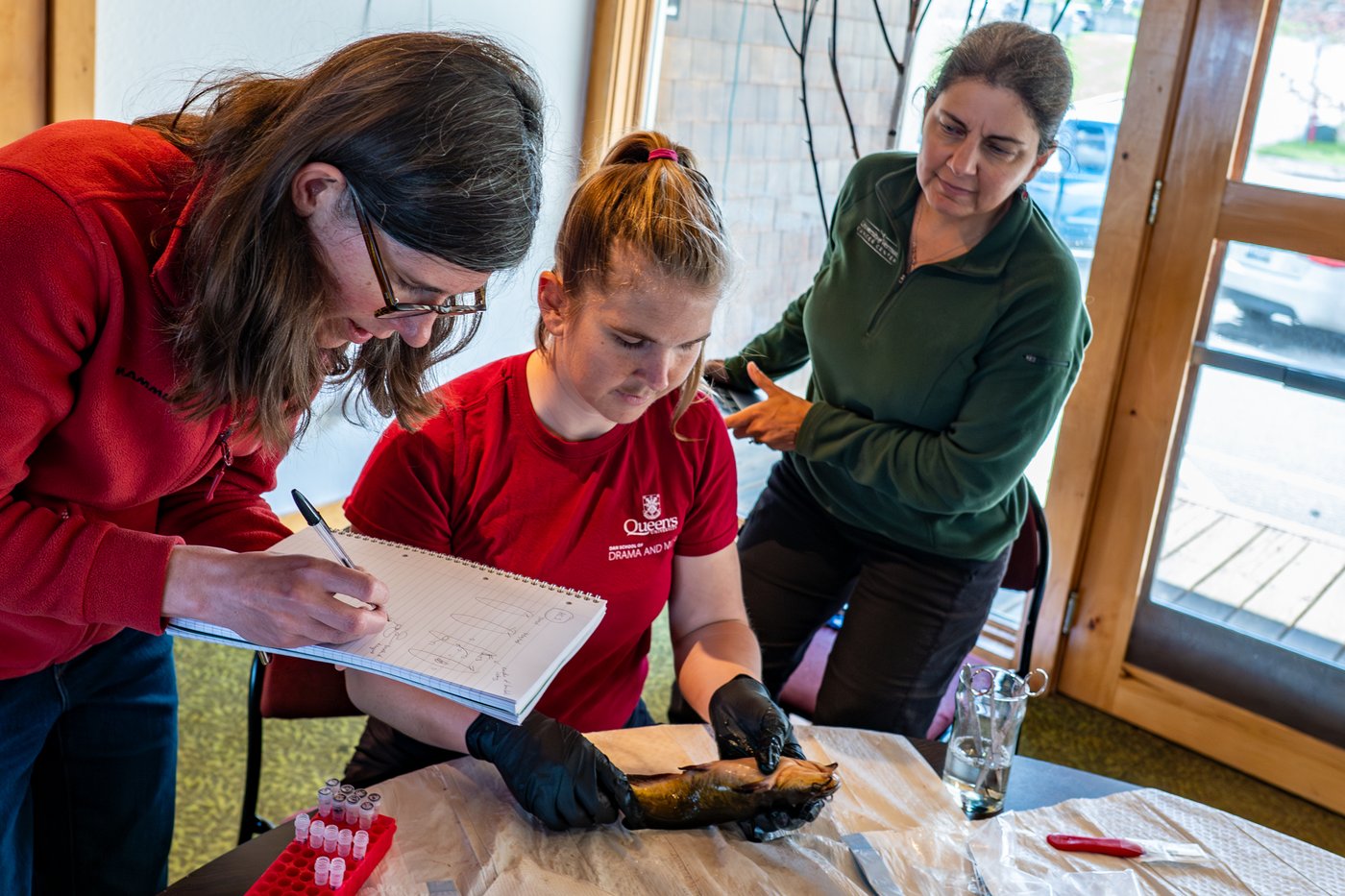 In the news today: Thailand school shooting, jet program, job numbers, fish study | iNFOnews.ca In the news today: Thailand school shooting, jet program, job numbers, fish study | iNFOnews.ca