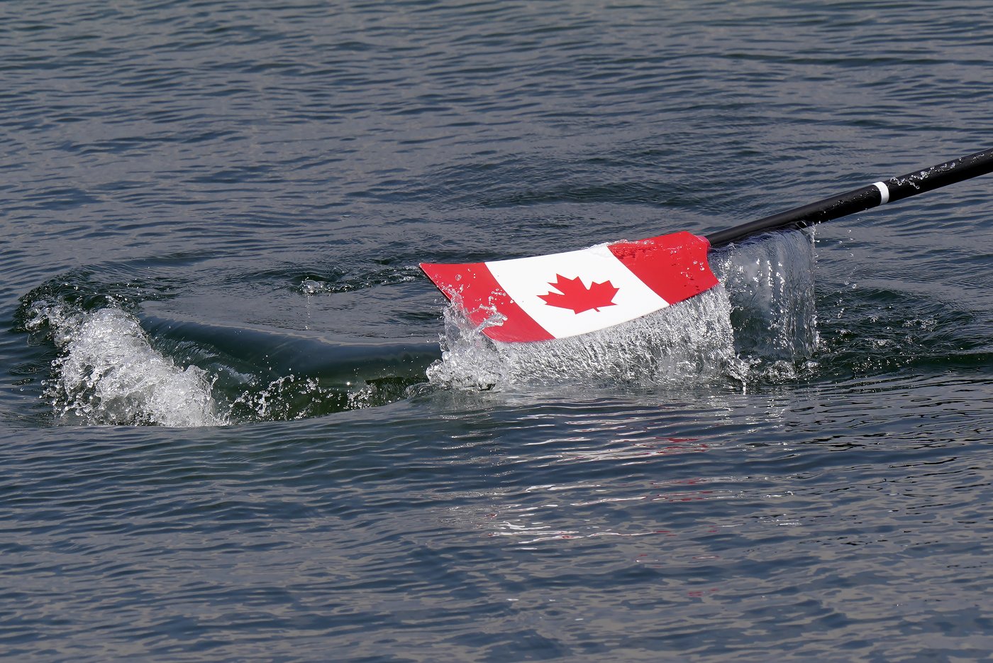 World champion Jeff Powell takes over as Rowing Canada chief executive officer | iNFOnews.ca