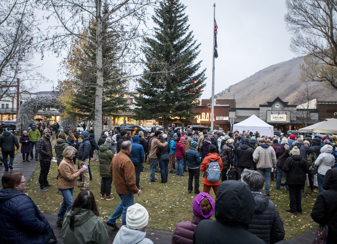 Vigil held for Grizzly No. 399, the beloved Grand Teton bear who was killed by a vehicle | iNFOnews.ca