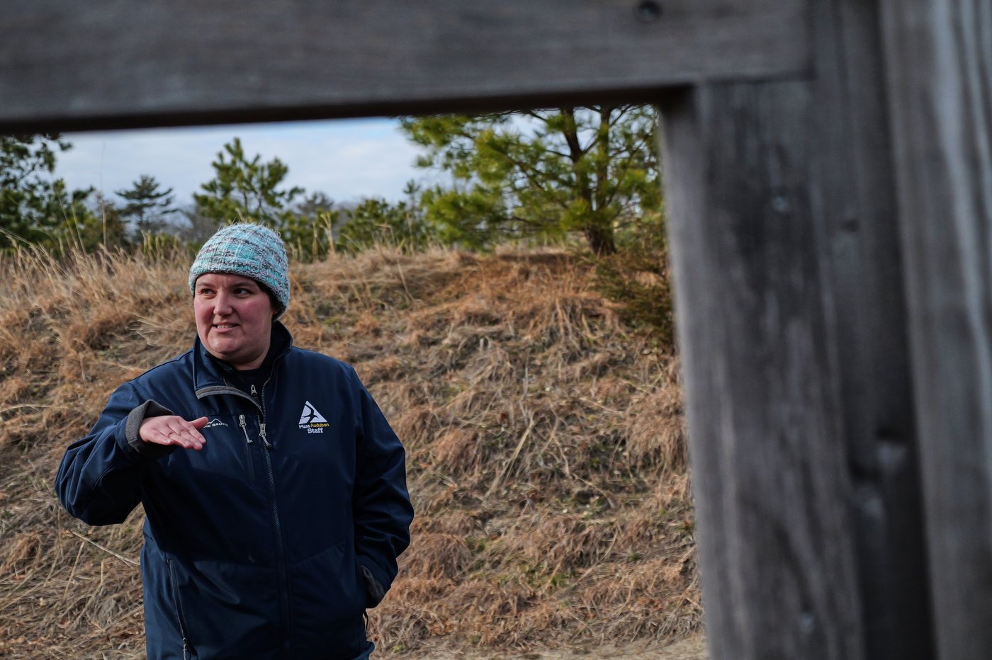 How a retired cranberry bog helped change the game for wetland restoration | iNFOnews.ca How a retired cranberry bog helped change the game for wetland restoration | iNFOnews.ca